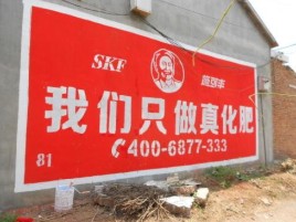 田东刷墙广告”蕴含了时代命题