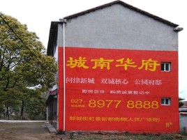 田东百分之90的人都不了解的农村墙体广告