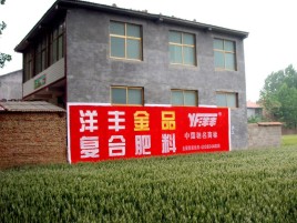 田东如何让墙体广告展现最大化效果