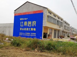 田东农村墙体广告在不同形式上面展现的不同特色