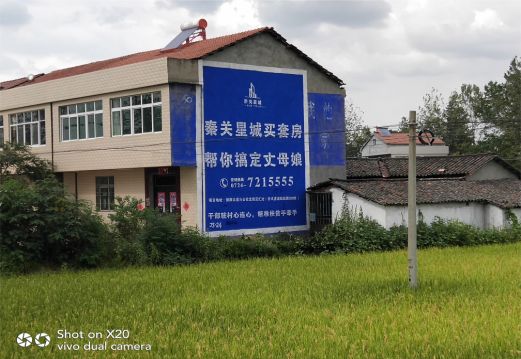 田东决定墙体广告价格的因素有哪些?