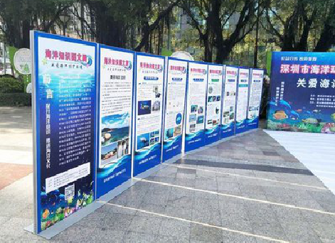 田东KT板的种类和知识。